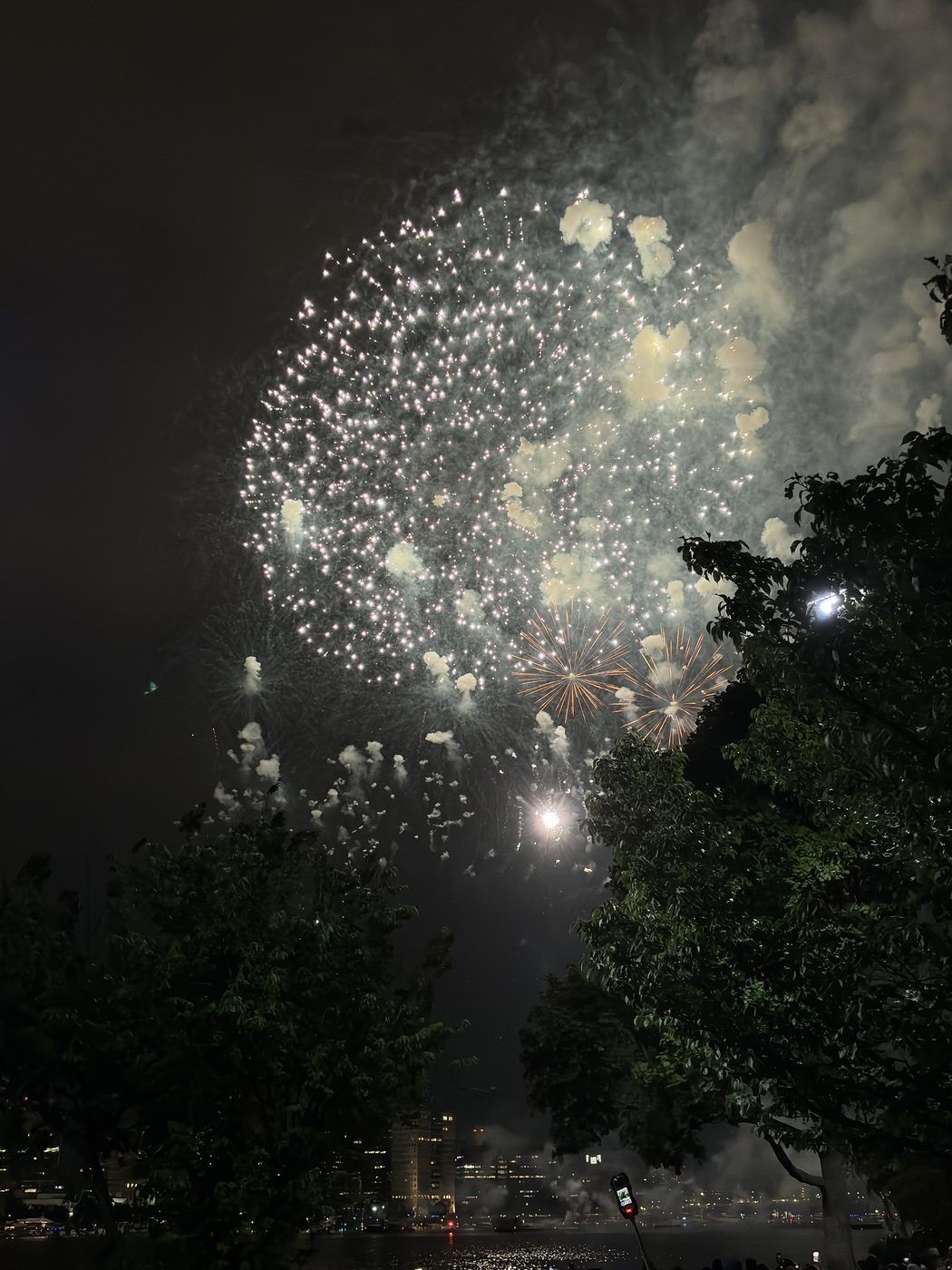fireworks over the trees either side of a snowed-in rail cutting at dusk